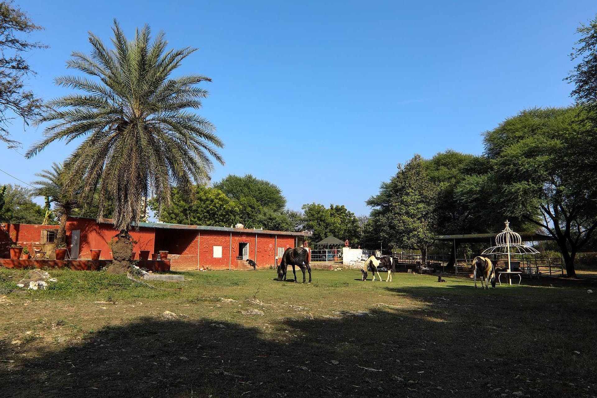 Venue image 2